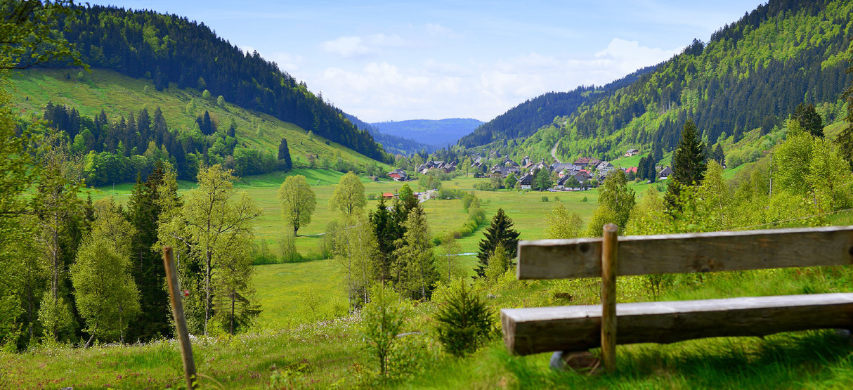 Bank mit Blick ins Tal